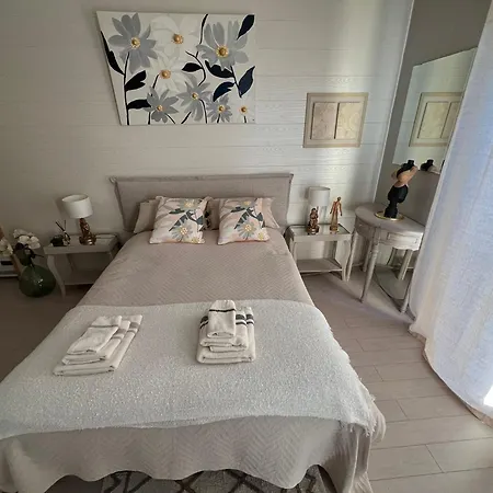 Bed & Breakfast Amarillo Quint-Fonsegrives